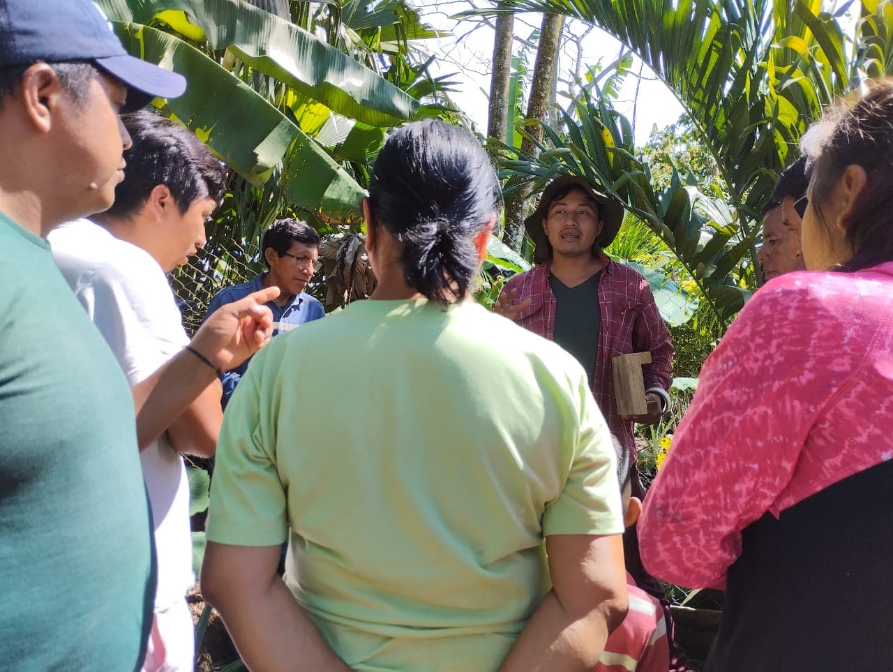 Meliponario itinerante