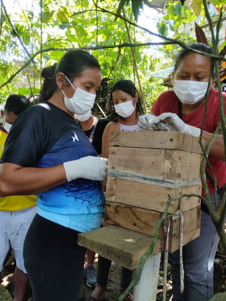 Vivero de especies nativas