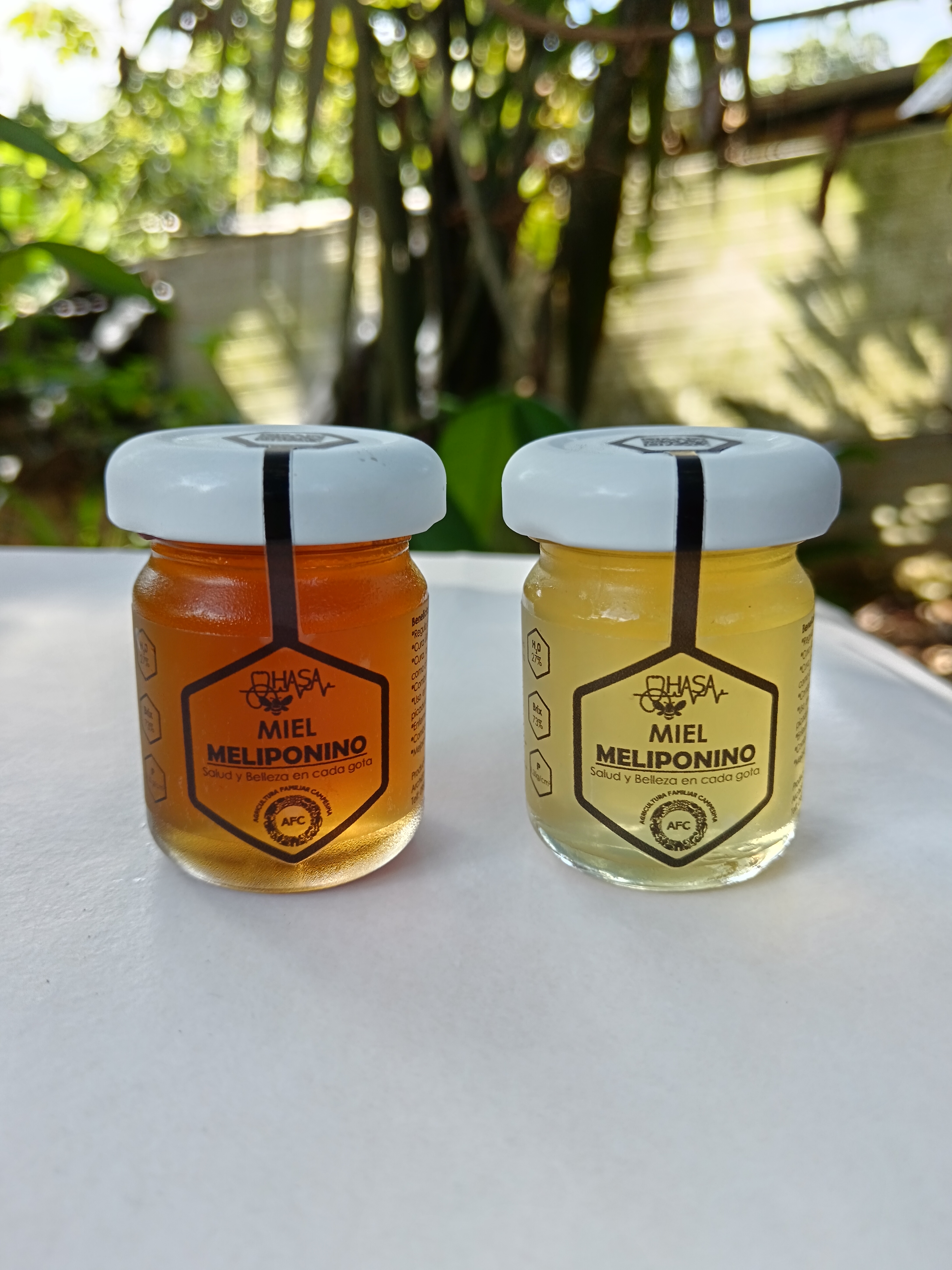 Miel meliponina clásica